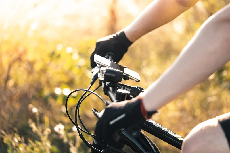 Vélo de route La Loire à Vélo : Parcours Saumur - Les Rosiers sur Loire — Saumur