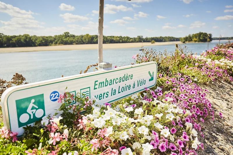 Vélo de route La Loire à Vélo : Liaison de Bourgueil — Avoine