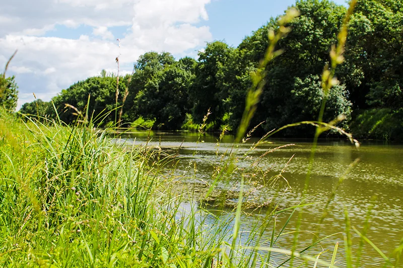 Vélo de route l'Authion à vélo — Saint-Mathurin-sur-Loire
