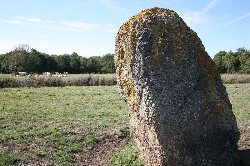 Vélo de route Circuit des Menhirs (Corsept) · Corsept