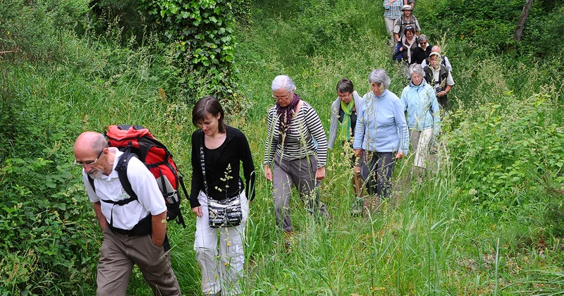 Vélo de route Sentier de la Grée · Fercé