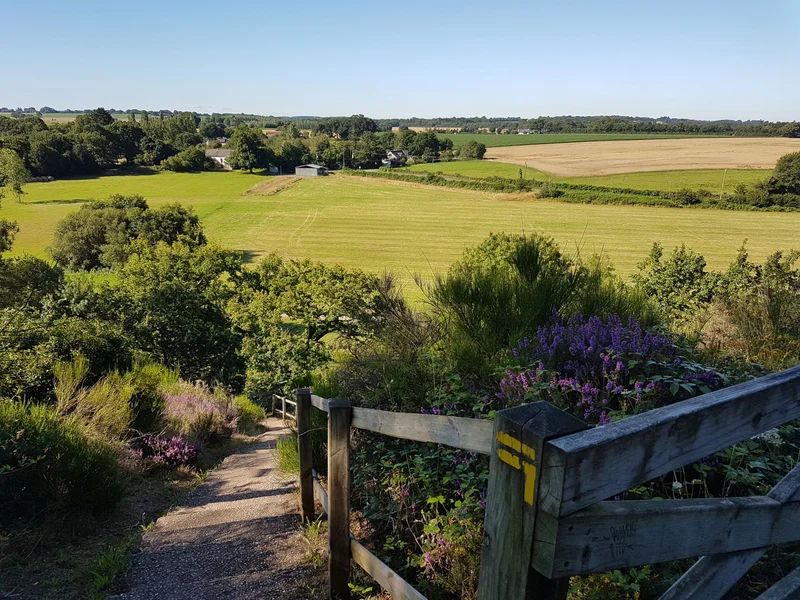 Vélo de route Circuit de la Vallée du Don — Guémené-Penfao