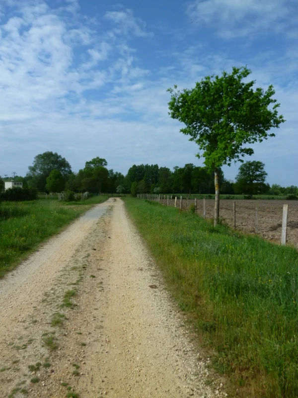 Vélo de route Circuit des Garennes — Guenrouet