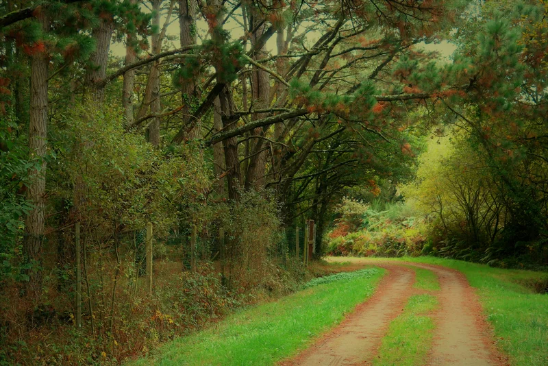 Vélo de route GR® 39 - De la Vilaine à la Brière — Herbignac