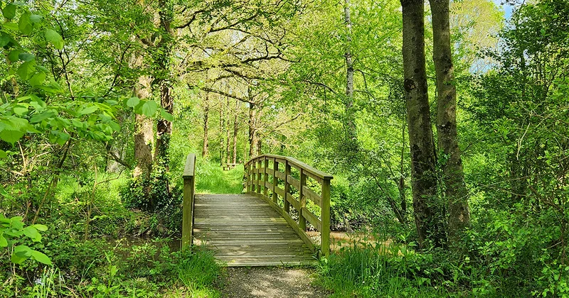 Vélo de route Sentier Fritillaire · Jans
