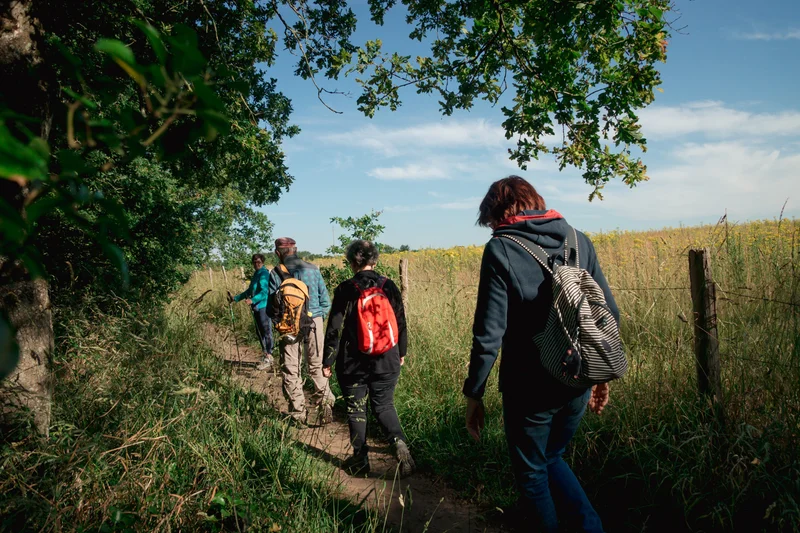 Vélo de route Sentier de la Vallée Mismy — La Chapelle-Launay
