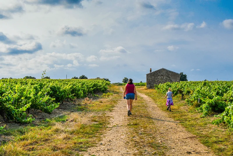 Vélo de route Circuit les Villages (La Limouzinière) · La Limouzinière