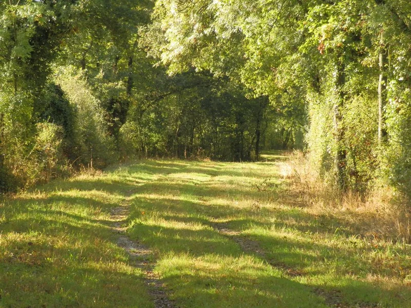 Vélo de route La Chauminette — Les Touches