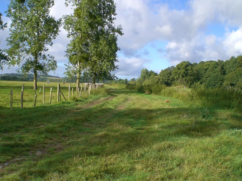 Vélo de route Circuit des Marais (Massérac) · Massérac
