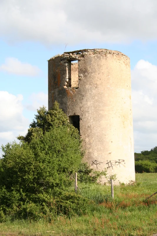 Vélo de route Circuit Brière et Moulins — Missillac