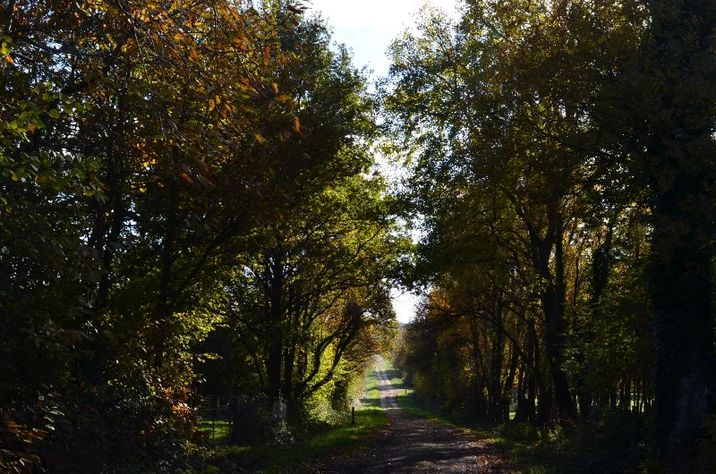 Vélo de route Circuit des Landes (Sainte-Anne-sur-Brivet) — Sainte-Anne-sur-Brivet