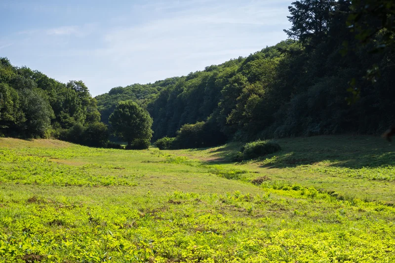 Vélo de route Sentier du Berliquet — Saint-Étienne-de-Montluc