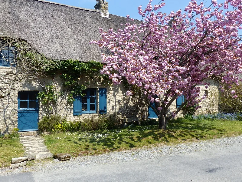 Vélo de route Entre Chaumières et Marais · Saint-Lyphard