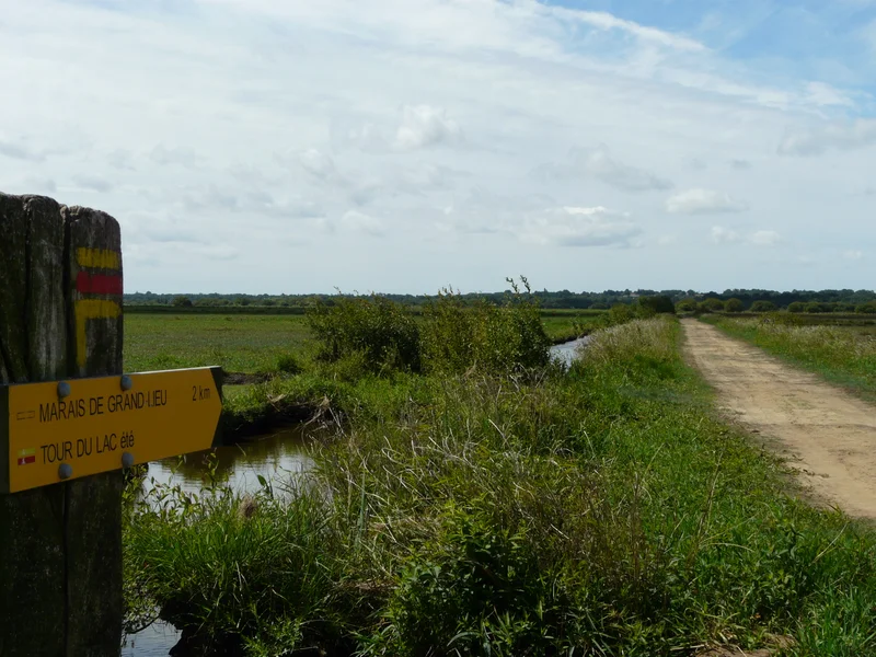 Vélo de route Le Marais de Grand Lieu · Saint-Mars-de-Coutais