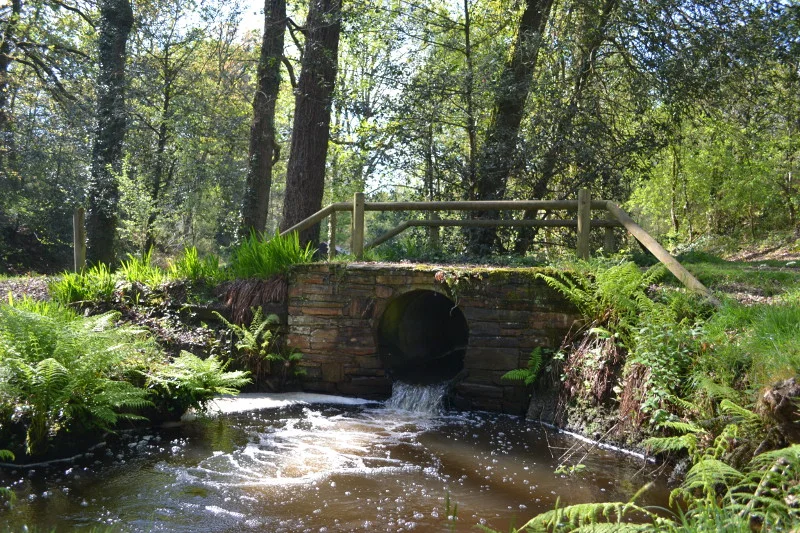 Vélo de route Circuit Marais et Châteaux — Sévérac
