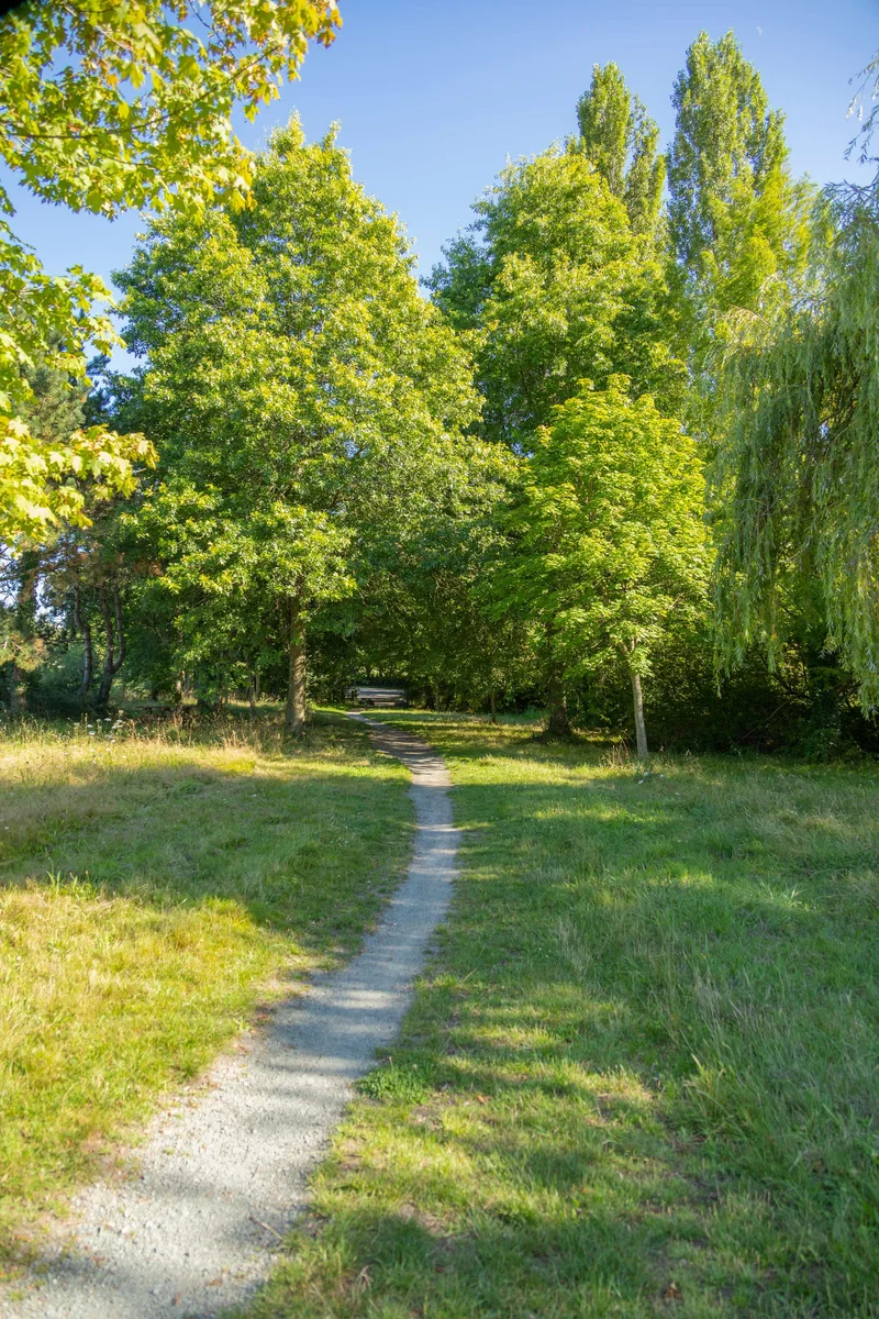 Vélo de route La Baraudière — Sucé-sur-Erdre