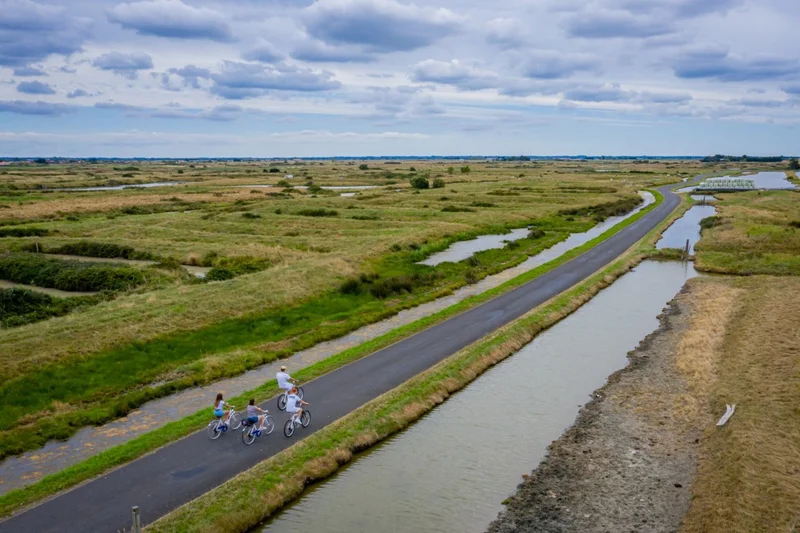 Vélo de route Circuit des Aigrettes · Villeneuve-en-Retz