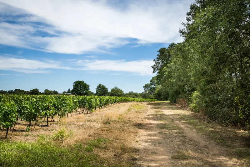Vélo de route Les Hauts Prés · La Bernerie-en-Retz