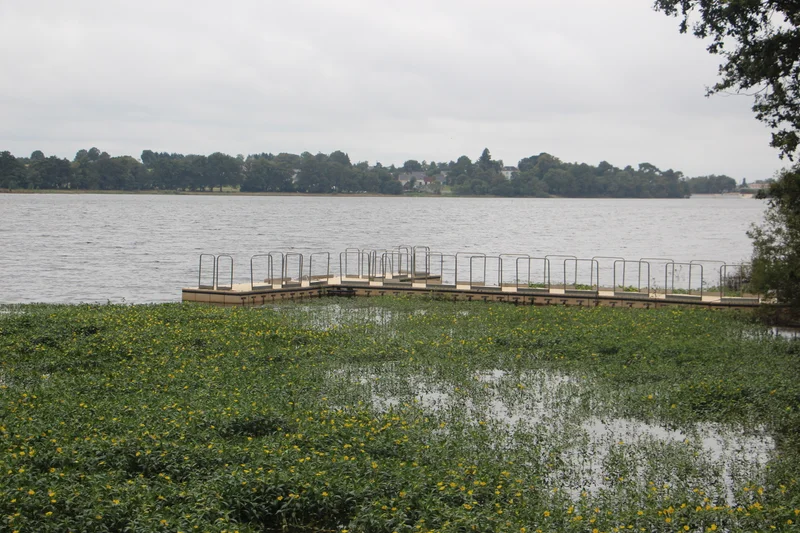 Vélo de route Lac de Vioreau — Joué-sur-Erdre