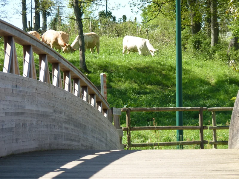 Vélo de route Circuit Passerelle — Saint-Colomban