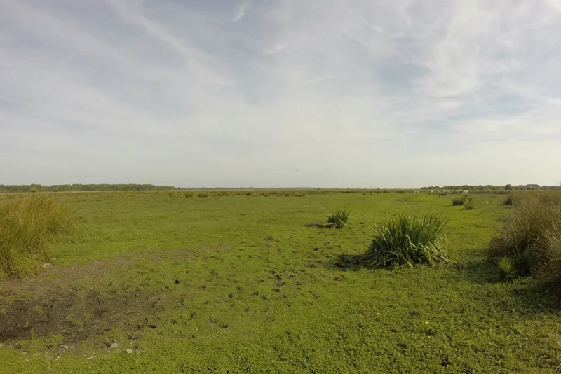 Vélo de route Les Bords de Brière — Herbignac