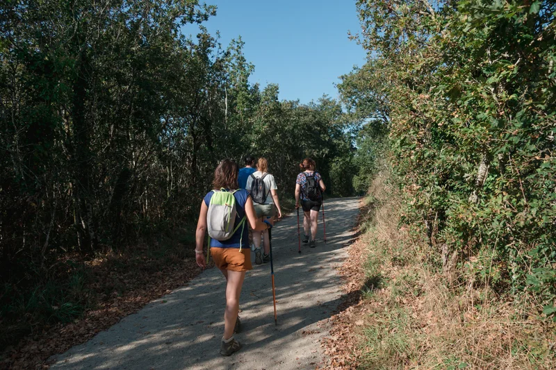 Vélo de route Sentier du Tertre — Malville