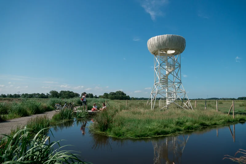 Vélo de route Sentier du Marais du Fresnier — Savenay