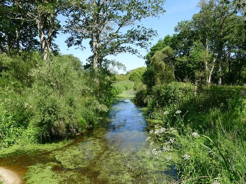 Vélo de route Le Colvert · La Chapelle-des-Marais