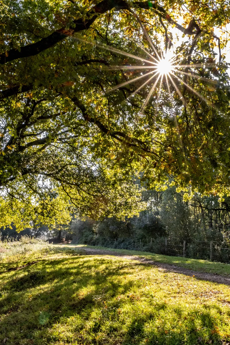 Vélo de route Marais et Bocage · Saint-Joachim