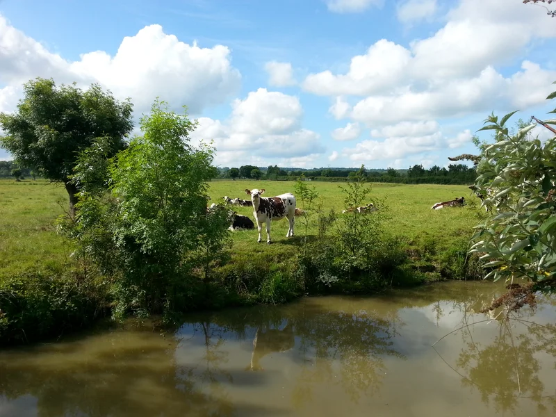 Vélo de route Circuit du Canal à l'Île Adet — Frossay