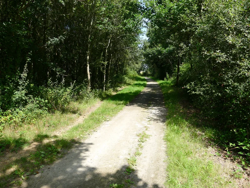 Vélo de route Le Coq Fleuri — Saint-Joachim