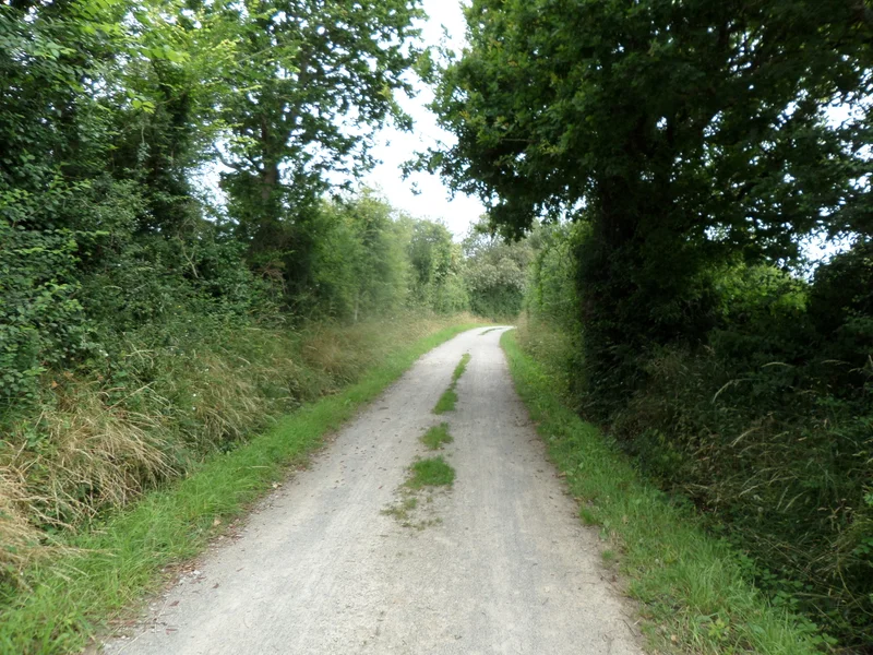 Vélo de route Les Coteaux Maritimes — Saint-Nazaire
