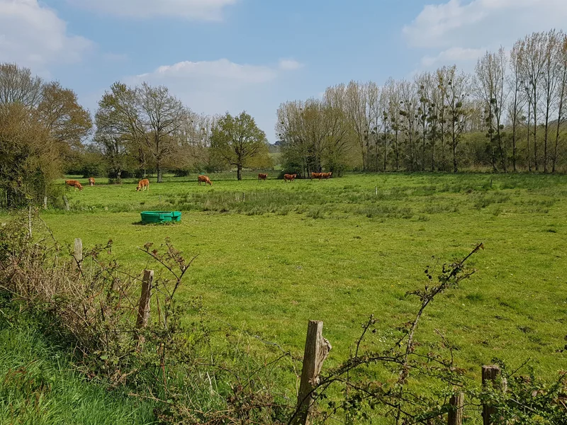 Vélo de route Circuit du Bellion : Marais de Fégréac — Fégréac