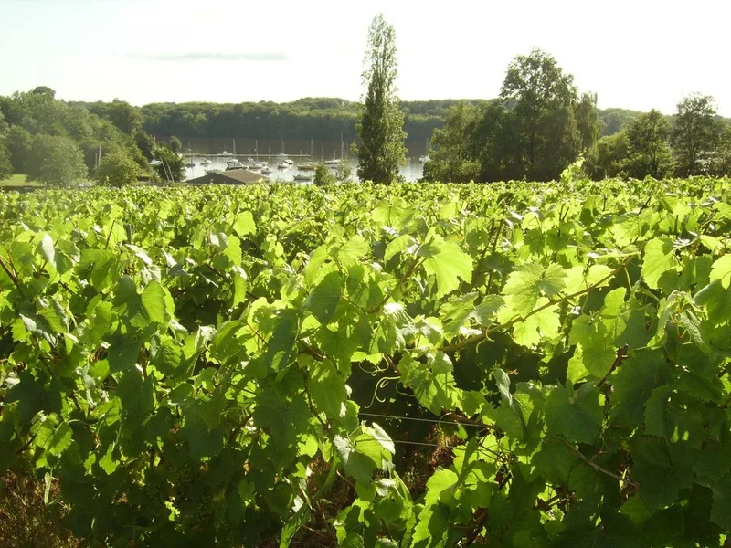 Randonnée Les Bords de l'Erdre — Carquefou