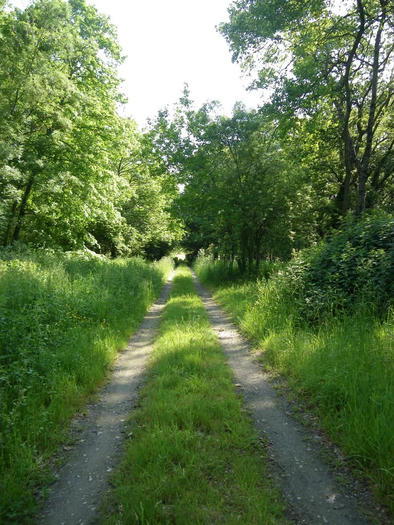 Randonnée Circuit de Vignes en Villages · La Caillaudière