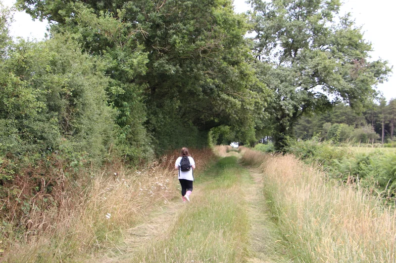 Randonnée Circuit du Bois du domaine · Le Pin