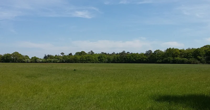 Randonnée Sentier des deux bois · Sion-les-Mines