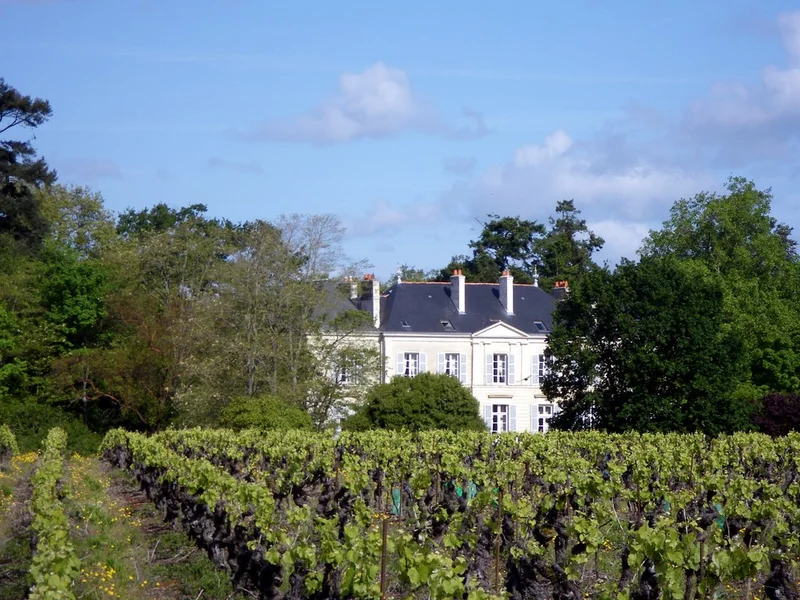 Randonnée Circuit du Château · Haute-Goulaine