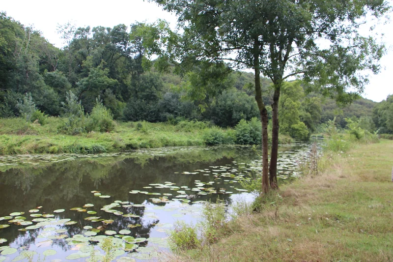 Randonnée GR® 3 - La Loire Sauvage à Pied — La Baule-Escoublac
