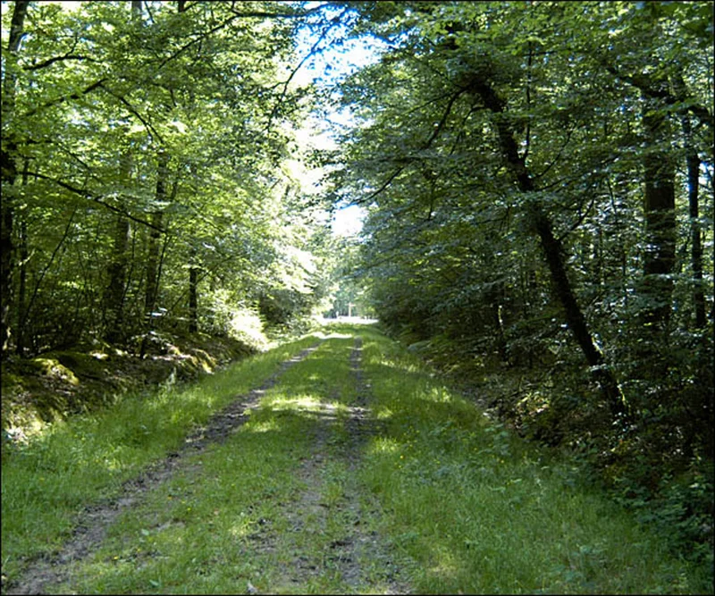 Randonnée Circuit du Pilier · Le Gâvre
