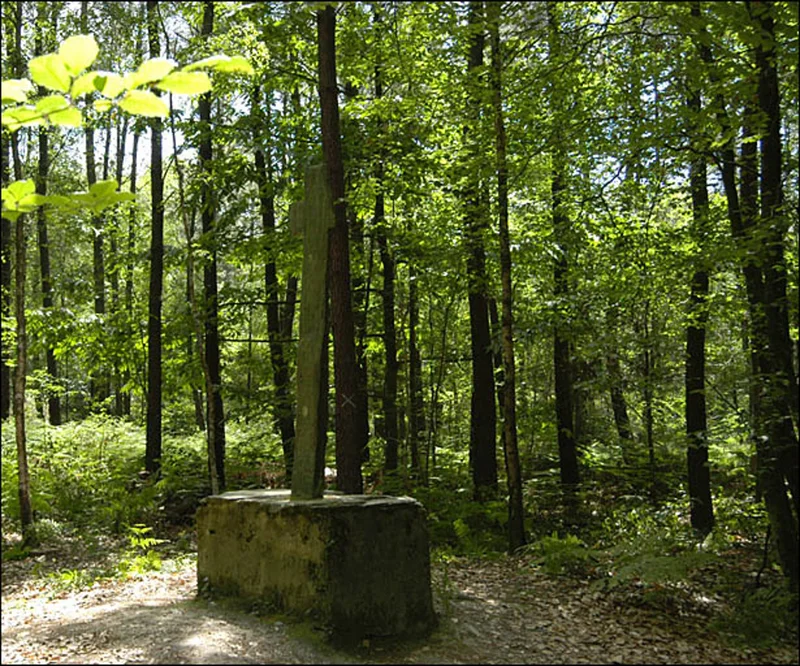 Randonnée Circuit du Chêne de la Messe · Le Gâvre