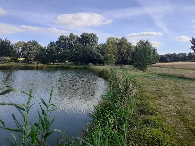 Randonnée Circuit des Trois Ruisseaux · Pierric