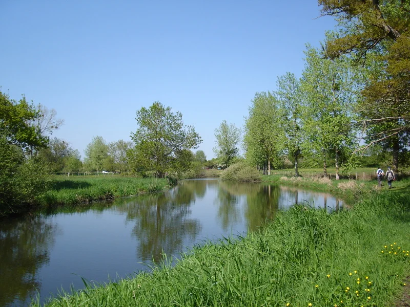 Randonnée Circuit des Marais (Sainte-Anne-sur-Brivet) — Sainte-Anne-sur-Brivet