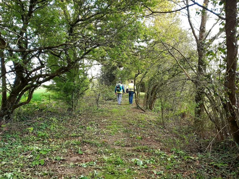 Randonnée Circuit des Landes · La Remaudière