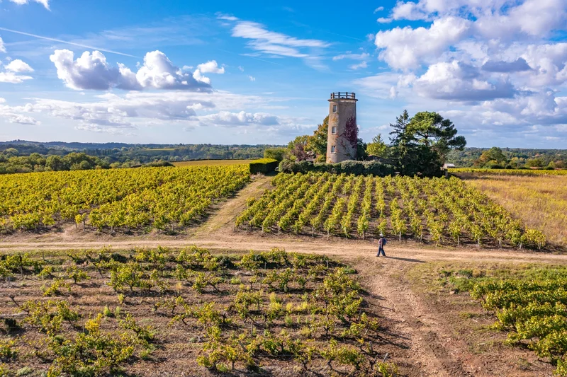 Randonnée Circuit entre Sèvre et Côteaux — La Caillaudière