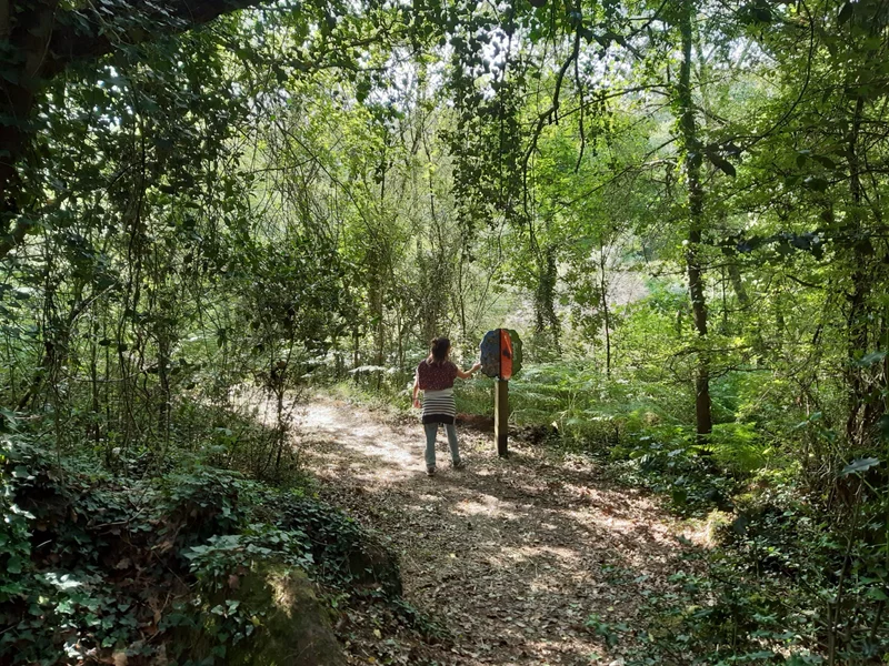 Randonnée GR® de Pays Sèvre et Maine - Boucle du vignoble — Nantes