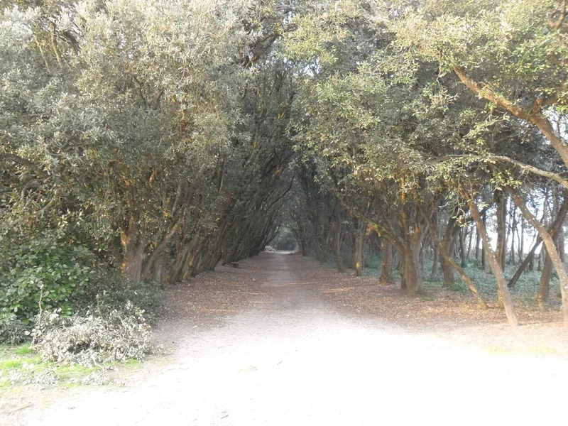 Randonnée Les Landes du Gouverneur — Le Croisic
