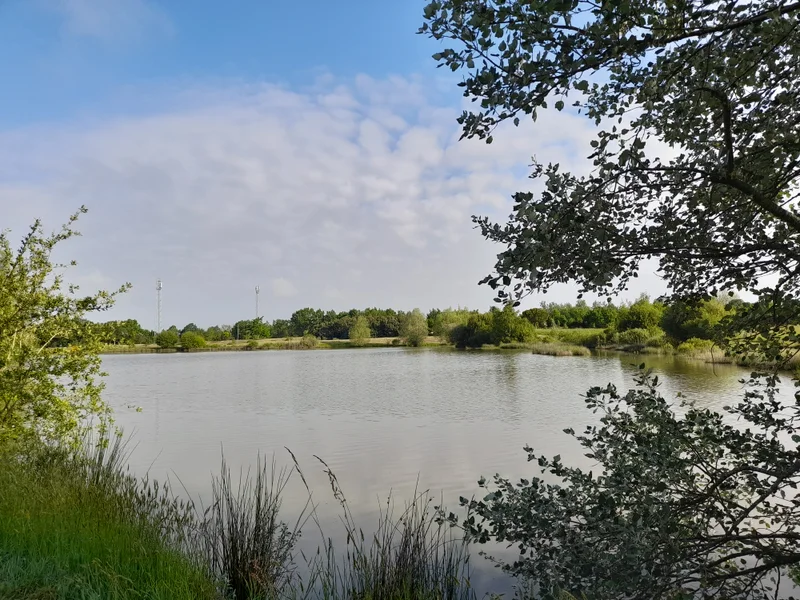 Randonnée Les Plans d'Eau · La Marne