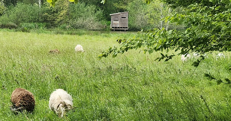 Randonnée L'Étang de Beaumont · Issé