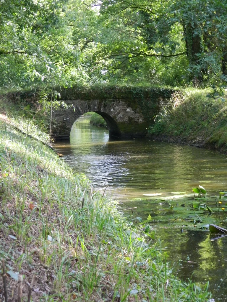 VTT Base départementale secteur Vioreau - N°5 - Rouge - Rigole d'alimentation — Riaillé